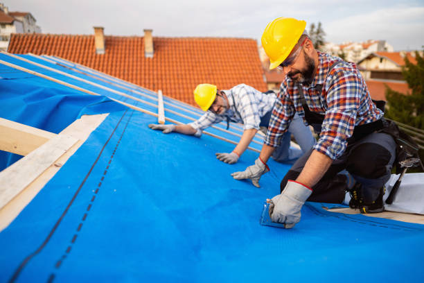 Roof Coating Services in Waverly, TN